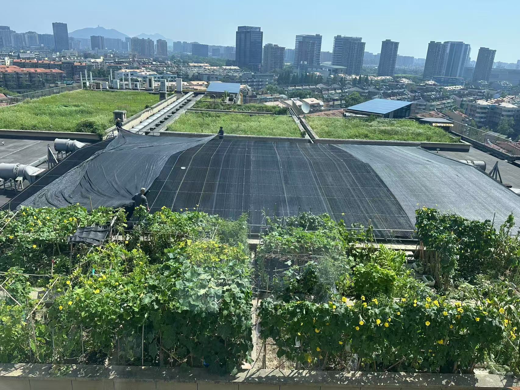 水晶城巧施」刳阳术“，为节能降耗注入清冷动力