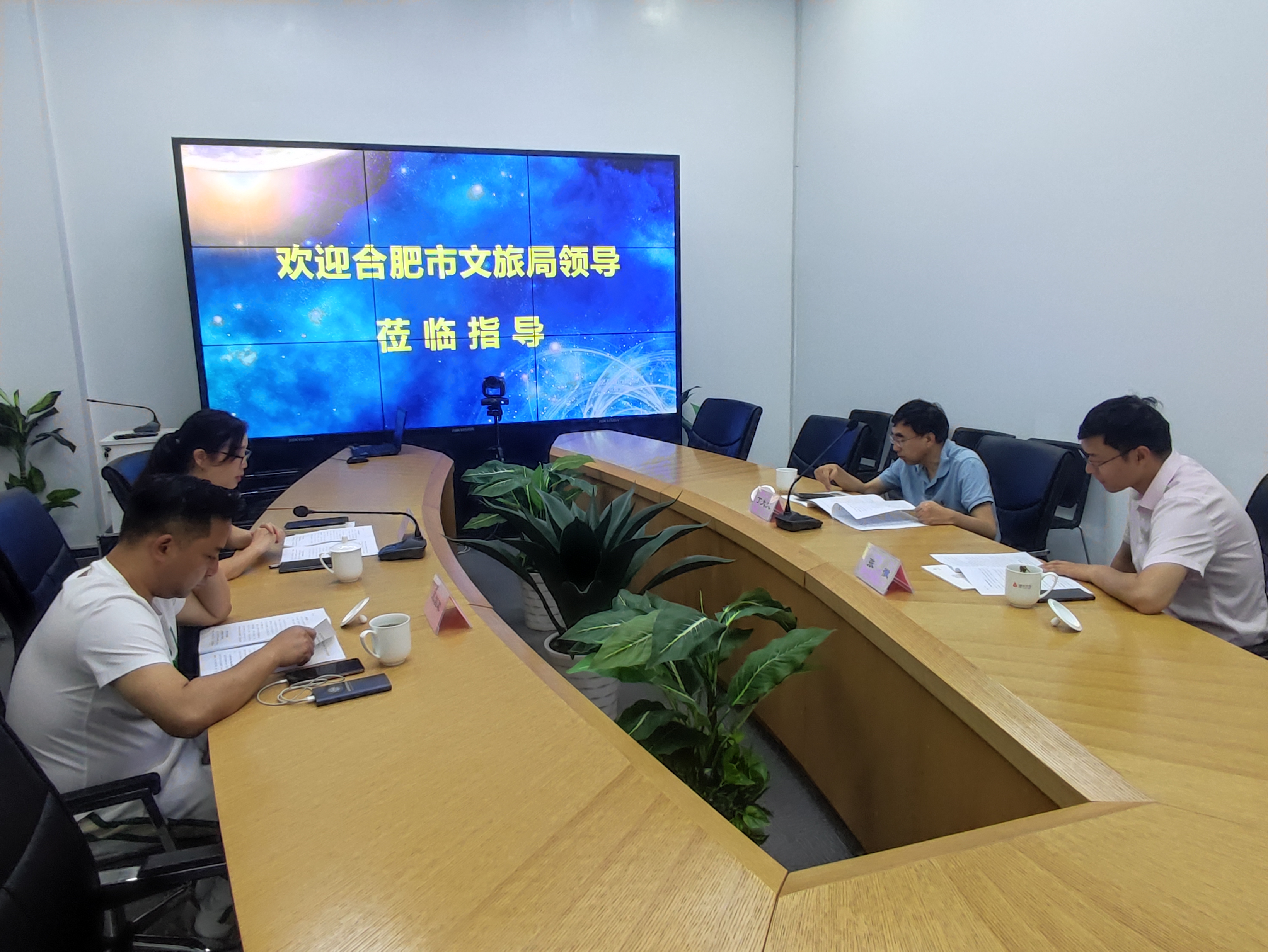 岳阳市文化游览局丁大文处长一行莅临mg冰球突破文创集团调研
