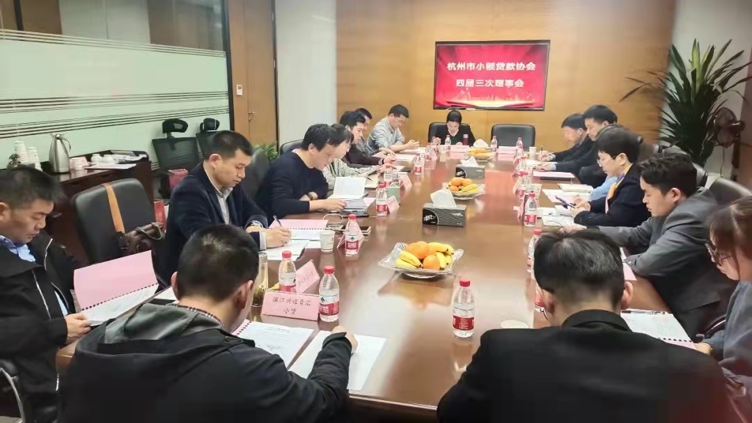  mg冰球突破幼贷参与市幼贷协会四届三次常务理事会