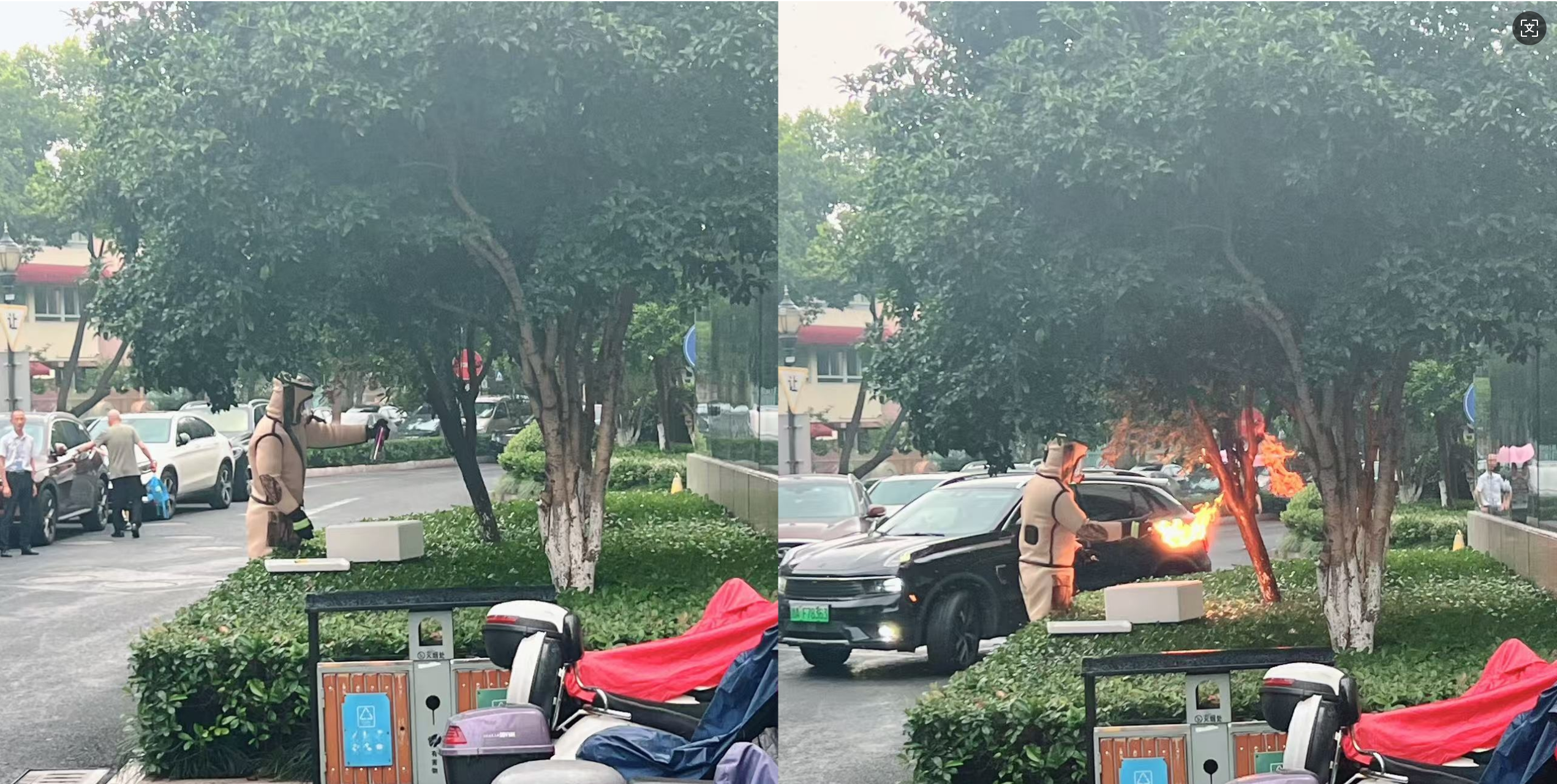 安全守护零距离，水晶城急剧措置表围蜂群隐患