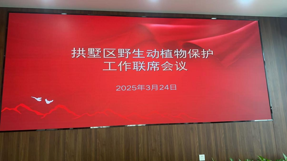 钱江商城参与拱墅区野活泼植物；すぷ髁嵋