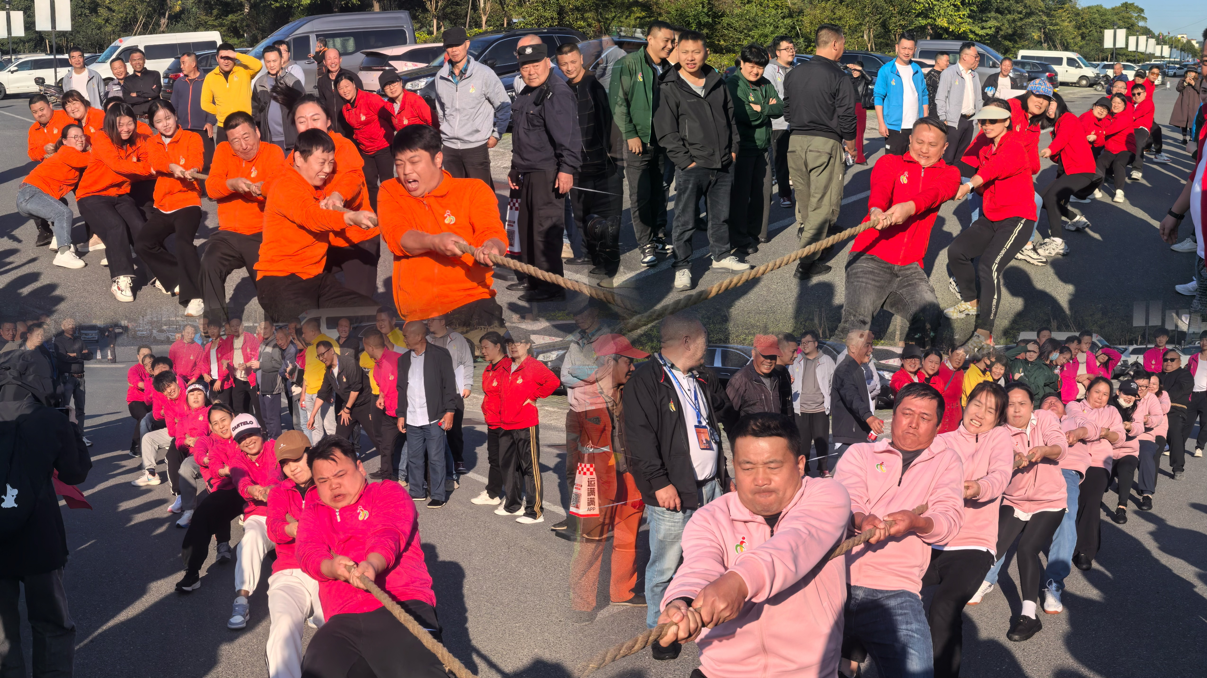 图片6.png 图片6.png